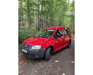 VW Caddy Gebrauchtwagen