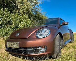 VW Beetle Gebrauchtwagen