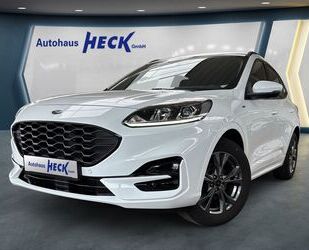 Ford Kuga Gebrauchtwagen