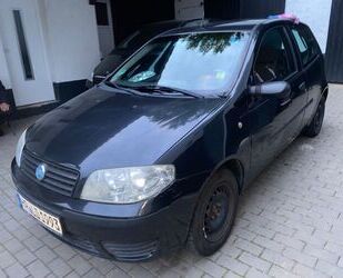 Fiat Punto Gebrauchtwagen