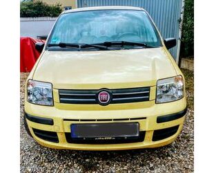 Fiat Panda Gebrauchtwagen