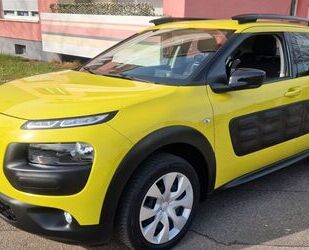 Citroen C4 Cactus Gebrauchtwagen