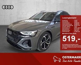 Audi Q8 e-tron Gebrauchtwagen