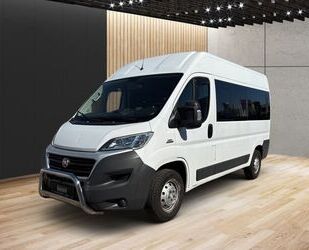 Fiat Ducato Gebrauchtwagen