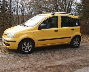 Fiat Panda Gebrauchtwagen
