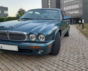 Jaguar XJ8 Gebrauchtwagen
