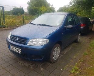 Fiat Punto Gebrauchtwagen