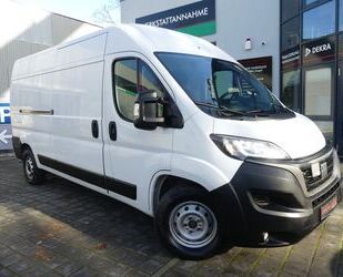 Fiat Ducato Gebrauchtwagen