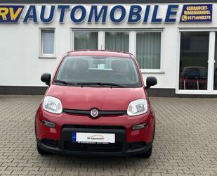 Fiat Panda Gebrauchtwagen