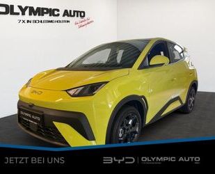 BYD DOLPHIN Gebrauchtwagen
