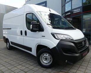 Fiat Ducato Gebrauchtwagen