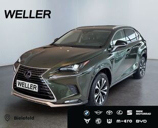 Lexus NX 300 Gebrauchtwagen