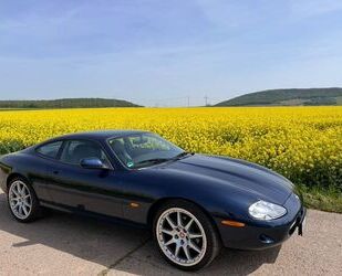 Jaguar XK8 Gebrauchtwagen