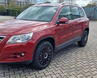 VW Tiguan Gebrauchtwagen