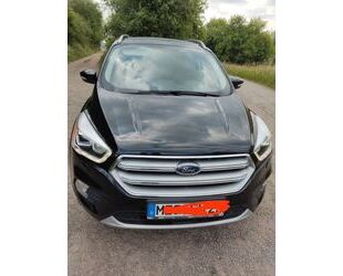 Ford Kuga Gebrauchtwagen