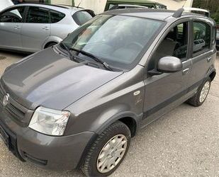 Fiat Panda Gebrauchtwagen