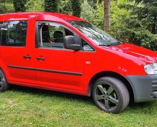 VW Caddy Gebrauchtwagen