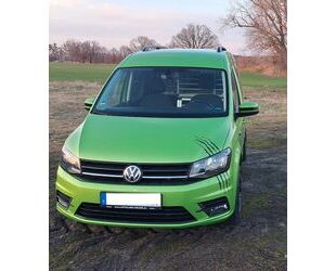 VW Caddy Gebrauchtwagen