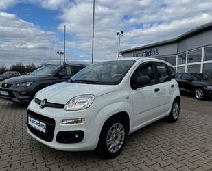 Fiat Panda Gebrauchtwagen