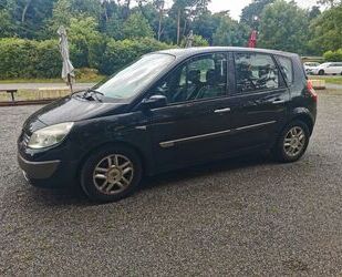 Renault Scenic Gebrauchtwagen