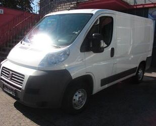Fiat Ducato Gebrauchtwagen