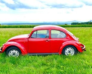 VW Käfer Gebrauchtwagen