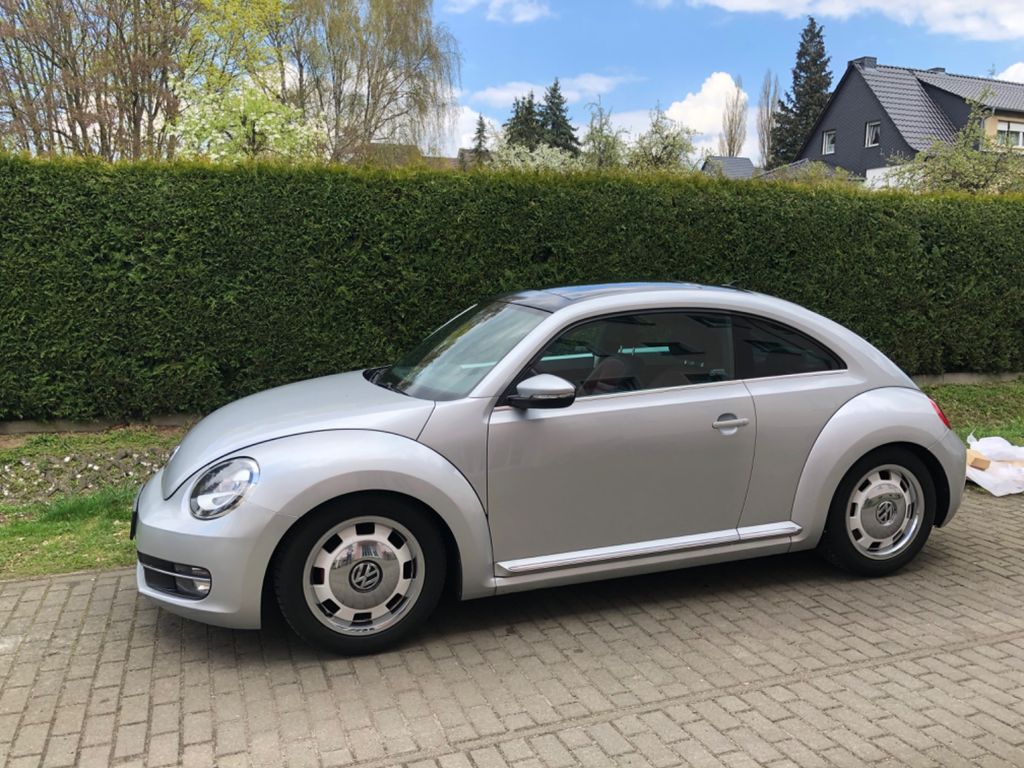 Bild 1