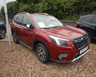 Subaru Forester Gebrauchtwagen