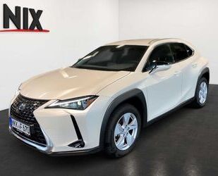 Lexus UX Gebrauchtwagen