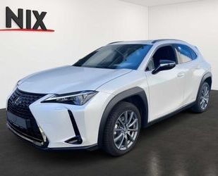 Lexus UX Gebrauchtwagen
