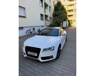 Audi S5 Gebrauchtwagen