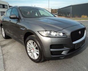 Jaguar F-Pace Gebrauchtwagen