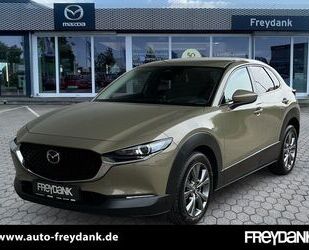 Mazda CX-30 Gebrauchtwagen
