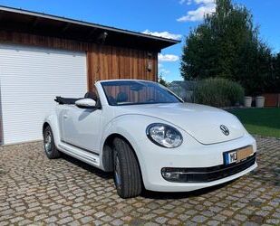 VW Beetle Gebrauchtwagen
