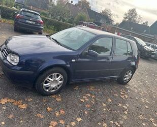 VW Golf Gebrauchtwagen