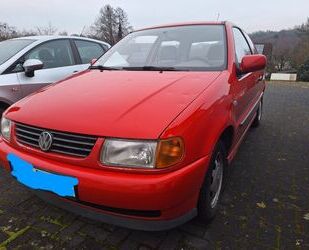 VW Polo Gebrauchtwagen