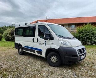 Fiat Ducato Gebrauchtwagen