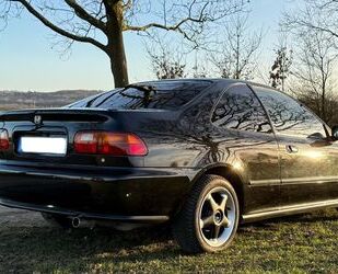 Honda Civic Gebrauchtwagen