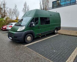 Fiat Ducato Gebrauchtwagen