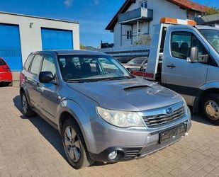 Subaru Forester Gebrauchtwagen