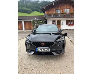 Cupra Formentor Gebrauchtwagen
