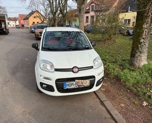 Fiat New Panda Gebrauchtwagen