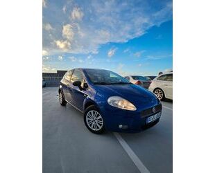 Fiat Punto Gebrauchtwagen