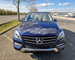 Mercedes-Benz ML 250 Gebrauchtwagen