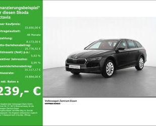 Skoda Octavia Gebrauchtwagen
