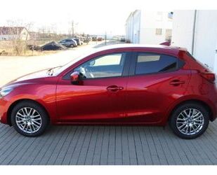Mazda 2 Gebrauchtwagen