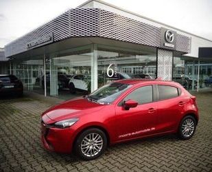 Mazda 2 Gebrauchtwagen