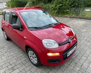 Fiat Panda Gebrauchtwagen