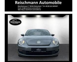 VW Beetle Gebrauchtwagen