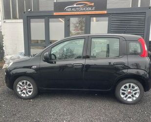 Fiat Panda Gebrauchtwagen